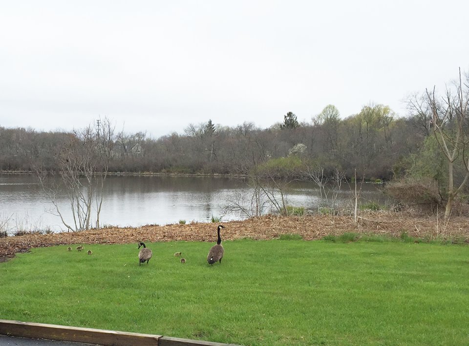 Tuxis Pond Walkway Visit CT
